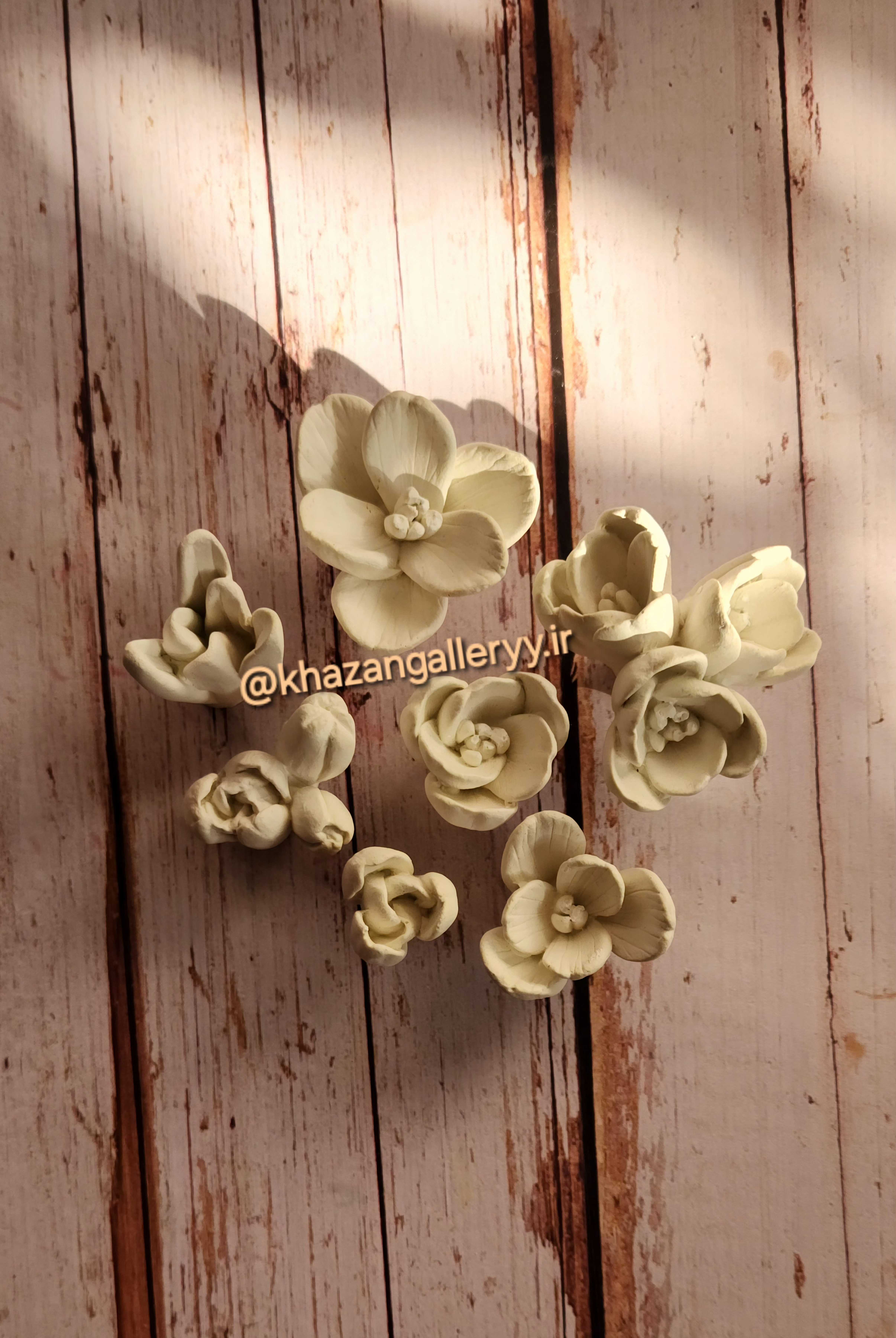 قالب سیلیکونی گل زعفران به صورت پک